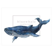 Somoong Art廚房藝術板 白長鬍鬚鯨魚, 1個