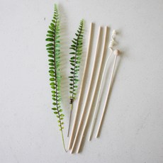 Morian 植物擴散器引線組, Real Boston Leaf, 1組