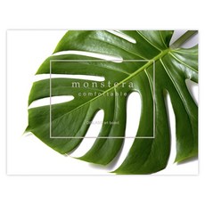 Somoong Art廚房藝術板 碧玉2壁貼, 1個