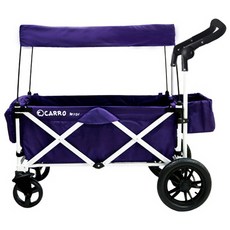 까로 W101 웨건, White frame + Purple