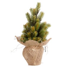 Provence Korea迷你松樹花盆, 混色, 1個