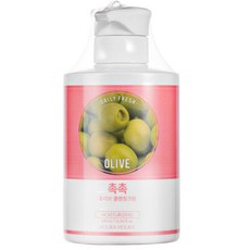 홀리카홀리카 데일리 프레시 촉촉 올리브 클렌징 크림, 430ml, 1개