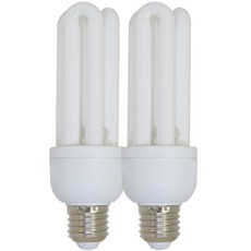 One&One Plus Nape三波長節電型緊密型螢光燈 20W 2入, 白光