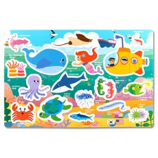 Magnetopia Rosetta 磁鐵探險與磁性拼圖系列 海洋, 17件, 1個