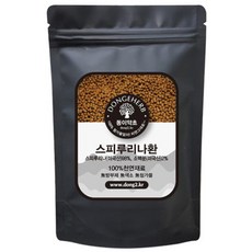 동이약초 스피리루나환, 1kg, 1개