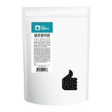 지킬박사 클로렐라환, 300g, 1개