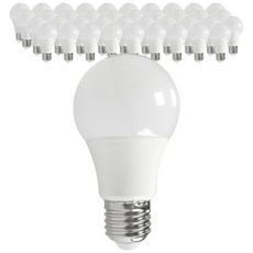 FOCUS LED燈泡6W PC LEDELS5506N-DHE, 晝光色, 40件