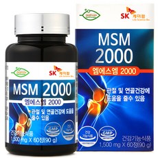 SK케미칼 MSM2000 건강기능식품, 1개, 60정