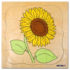 에듀코 자연관찰 성장 레이어 겹퍼즐 씨앗에서 해바라기로, 1개, 31피스, 31피스