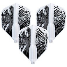 fit 適合飛鏢飛行墮落天使造型, 3片