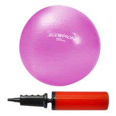 SCORPION 健身球+手泵, 紫色的