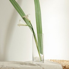 For Home線條長葉人造花 2入, 單色