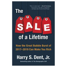 The Sale of a Lifetime: How the Great Bubble Burst of 2017-2019 Can Make You Rich, Portfolio