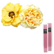 아제르퍼시픽 뽀피오니 디퓨저 조화 스틱 2p + 스틱 20p, 옐로우, 핑크, 1세트