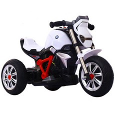 인이상사 에버 바이크, 화이트, 1개