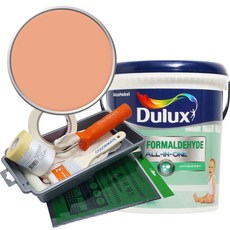 듀럭스 안티 포름알데히드 페인트 1L세트, Airy Peach, 1L