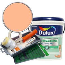 듀럭스 안티 포름알데히드 페인트 1L세트, Lovely Papaya, 1L