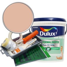 듀럭스 안티 포름알데히드 페인트 1L세트, Desert Warmth, 1L