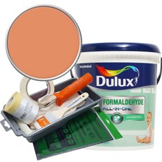 듀럭스 안티 포름알데히드 페인트 1L세트, Light Salmon, 1L