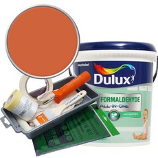 듀럭스 안티 포름알데히드 페인트 1L세트, Autumn Walks, 1L