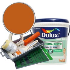 듀럭스 안티 포름알데히드 페인트 1L세트, Egyptian Earth, 1L