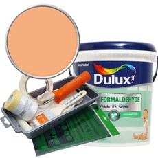 듀럭스 안티 포름알데히드 페인트 1L세트, Delicious Melba, 1L