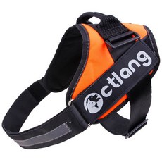 貓頭鷹生活耐用寵物背帶套裝 M, 橘子, 1個
