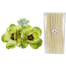 아제르퍼시픽 아트 플라워 스틱 세트 플라워 부케 뽀삐 2p + 디퓨저 스틱 40p, 부케 (그린), 스틱 (우드), 1세트