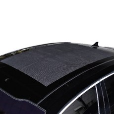 코베아 페가수스 루프백 논슬립 패드 II, 1개