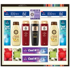 아모레퍼시픽 AP 종합 5호 바디케어 선물세트 + 쇼핑백, 1세트