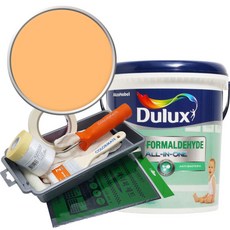 듀럭스 안티 포름알데히드 페인트 1L세트, Tuscanny Villa, 1L