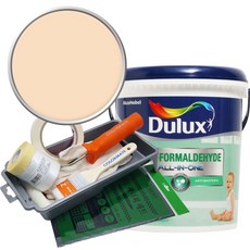 듀럭스 안티 포름알데히드 페인트 1L세트, Patio Orange, 1L