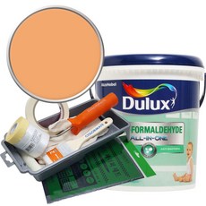 듀럭스 안티 포름알데히드 페인트 1L세트, Orange Cantaloupe, 1L