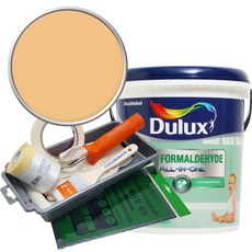 듀럭스 안티포름알데히드 올인원 페인트 세트, Day Star, 1L, 1개