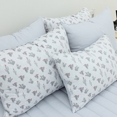 CHOUETTROOM Semi 仙人掌枕頭套 2入