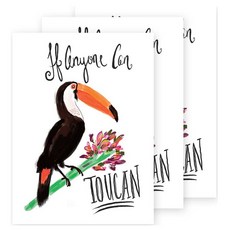 벨라잉크 투칸 카드, 혼합 색상, 3개입