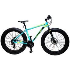 알톤스포츠 라레이 MTB 자전거 RFB2.4 (70%조립), 민트, 1개