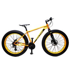 알톤스포츠 라레이 MTB 자전거 RFB2.4 (70%조립), 오렌지, 1개