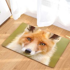 Living Pop 廚房浴室防滑狐狸插畫地墊, A4