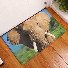 利平帕 廚房浴室防滑大象地墊, D7