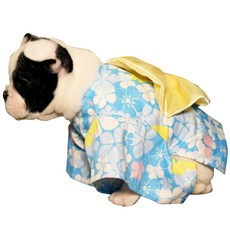 ECODY 和服造型寵物衣服, 混色