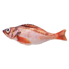 라이프포인트 고양이 물고기 캣잎인형 레드락 20cm, 혼합 색상, 1개