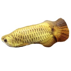 라이프포인트 고양이 물고기 캣잎인형 아로 40cm, 혼합 색상, 1개