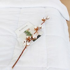 CléMENCE 基本款被胎, 白色的