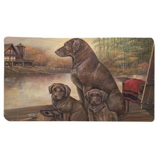 LIVING POP 廚房浴室防滑狗狗寵物地墊, D3