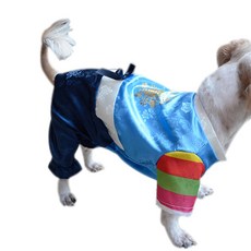 you're a peach 狗狗蝴蝶結韓服, 天藍色+深藍色