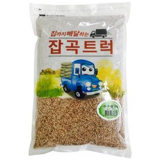 광복농산 집까지 배달하는 잡곡트럭 수수쌀, 3kg, 1개