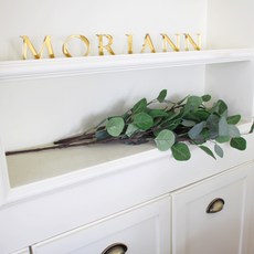 MORIANN 室內和諧激情桉樹枝, 混色