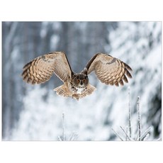 Gideko Ban Hagio DIY 傑作繪畫套裝, 緊急情況