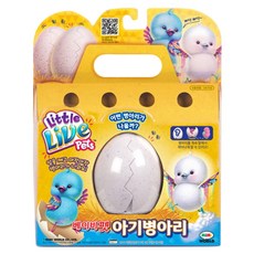미미월드 베이비펫 아기병아리 스타 레인보우 황금 작동완구, 랜덤 발송, 1개